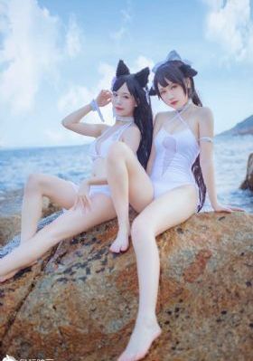 2024新杨门女将电视剧